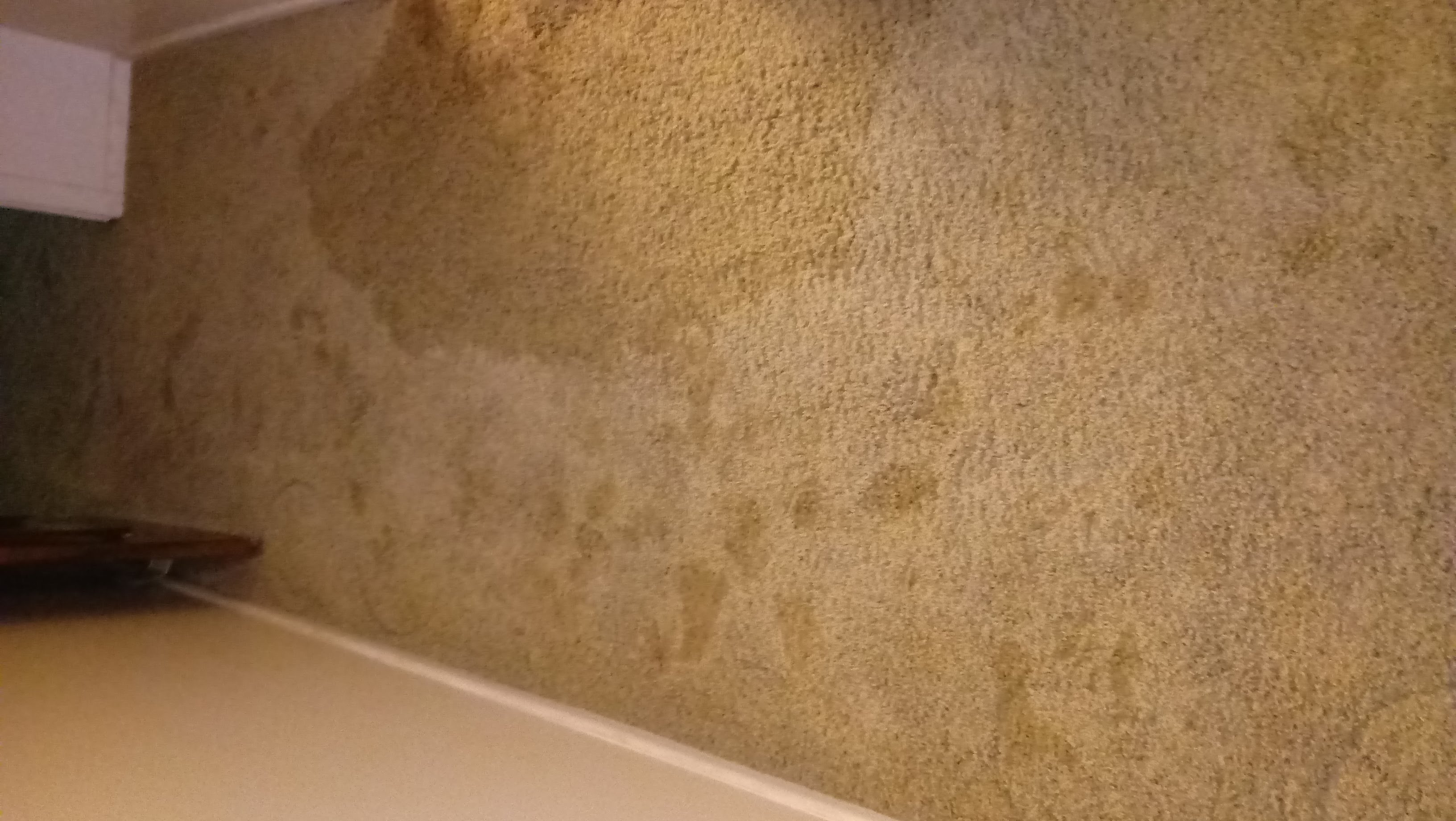 Restoration project 2