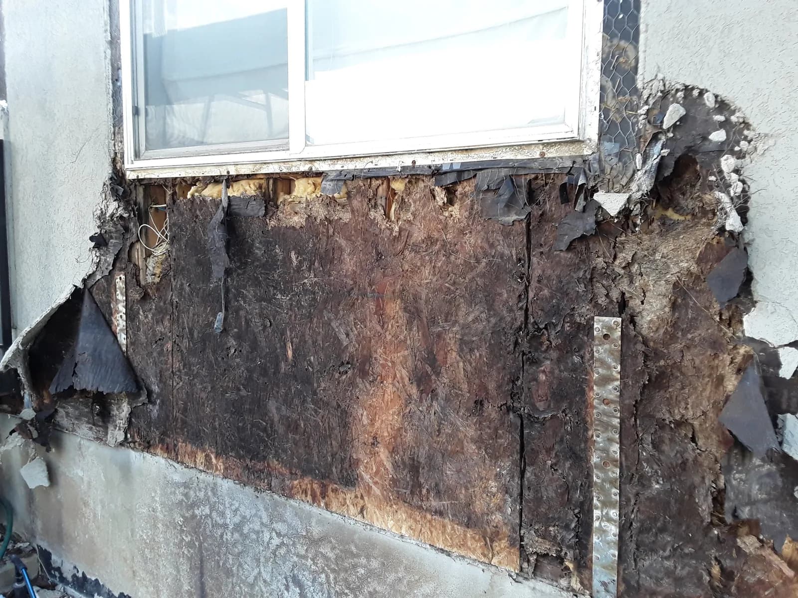 Mold and rot revealed behind removed drywall on a water-damaged exterior wall